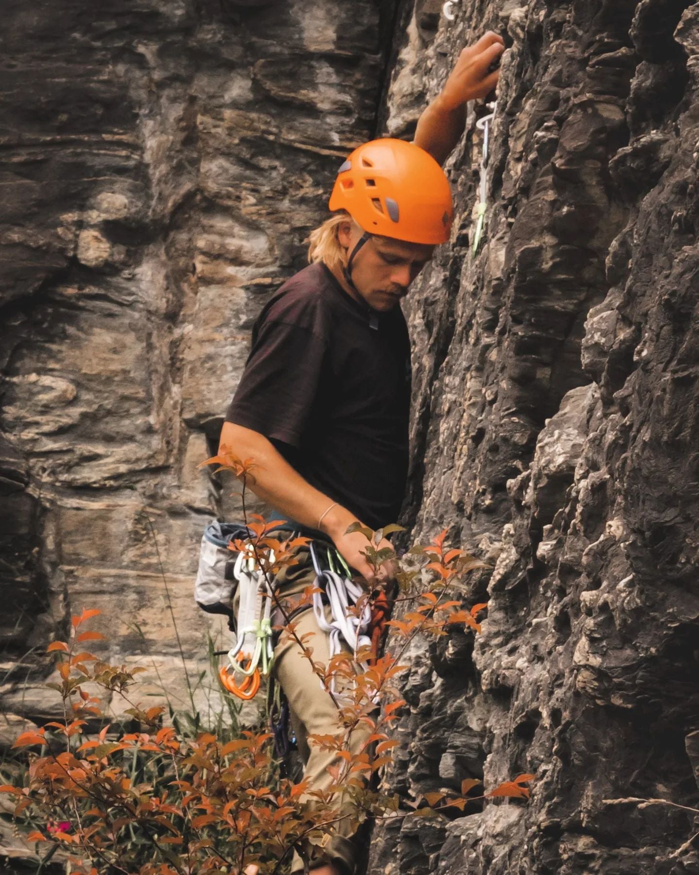 ARNES PARA ESCALADA MÉXICO