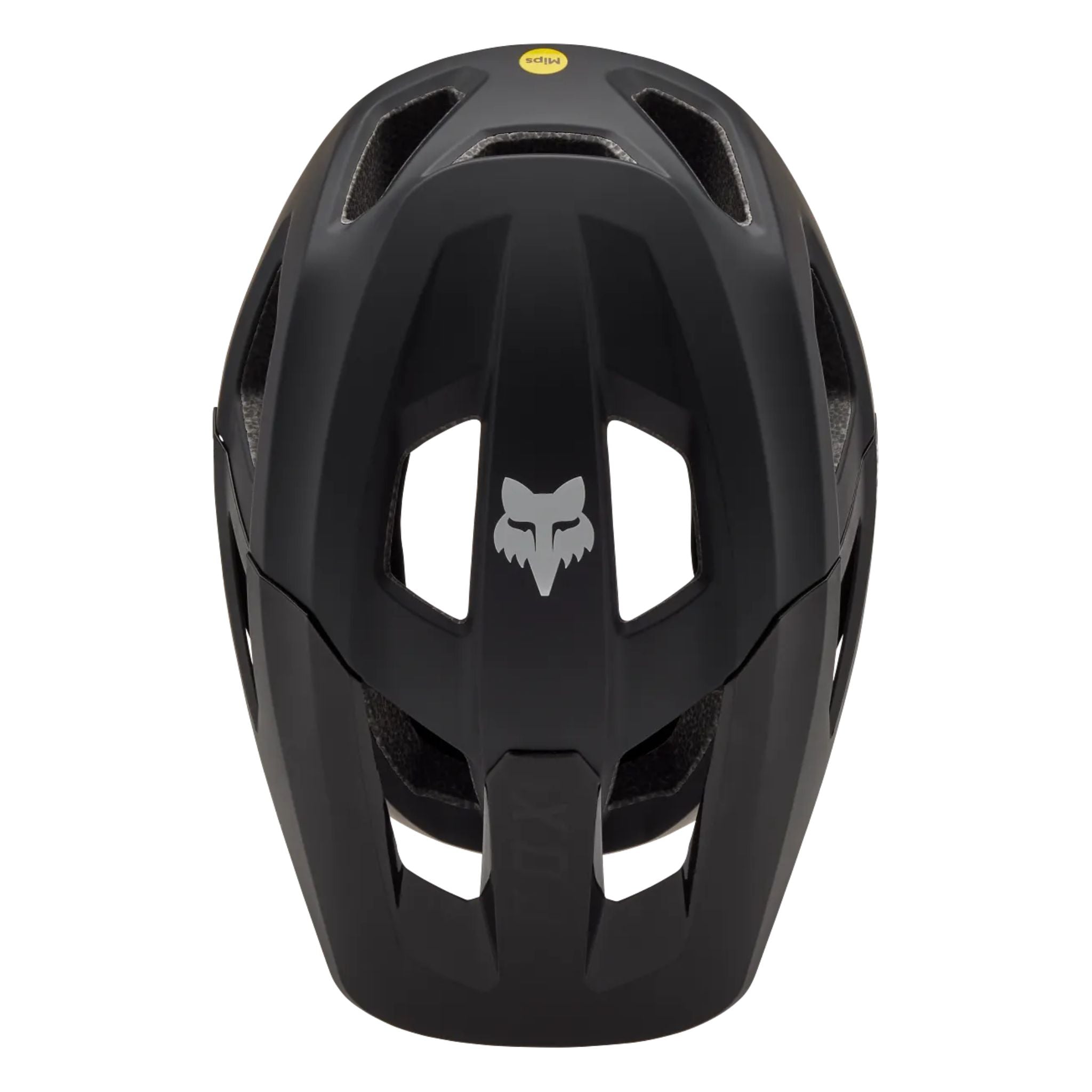 Casco Mainframe Fox