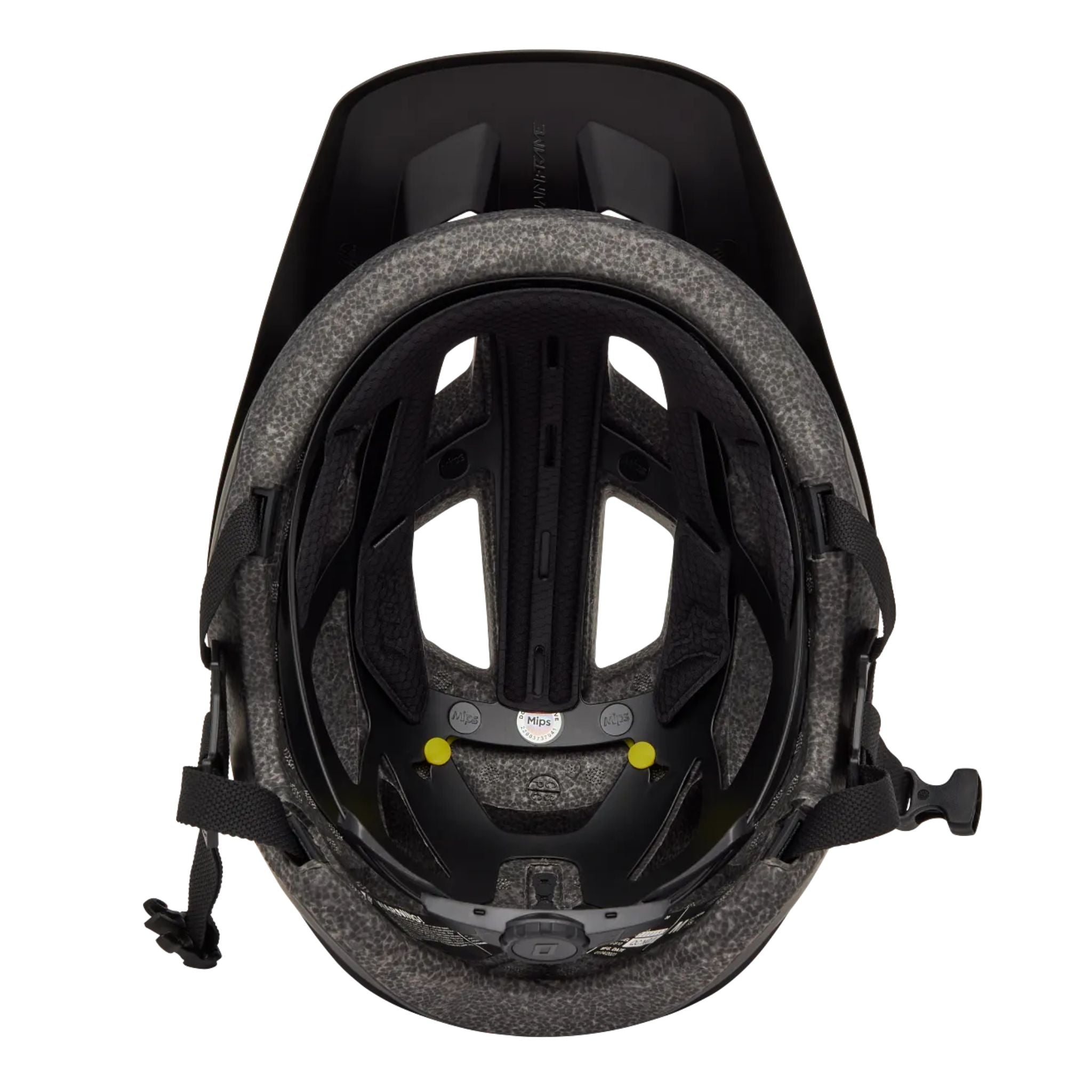 Casco Mainframe Fox
