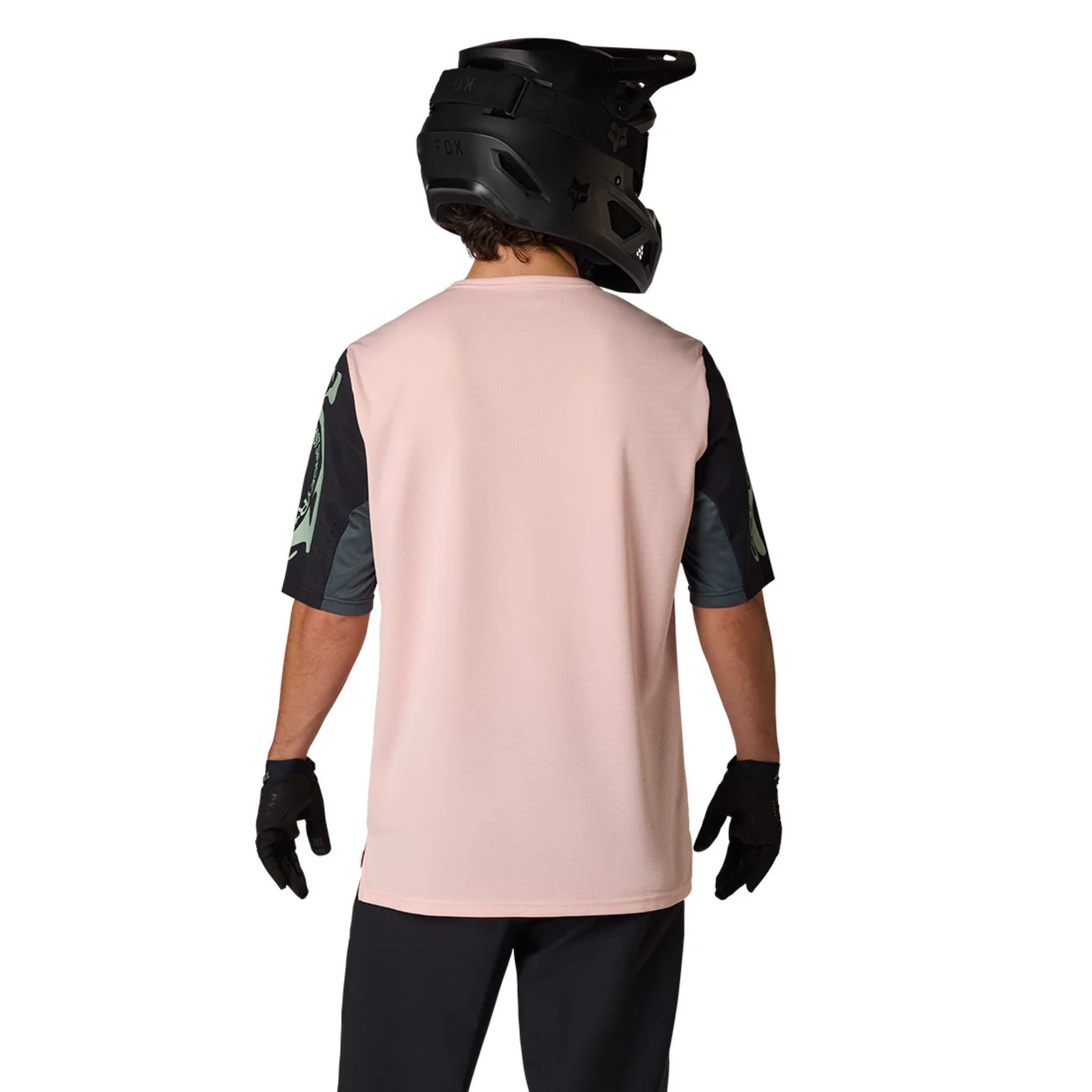 Jersey Fox Dh
