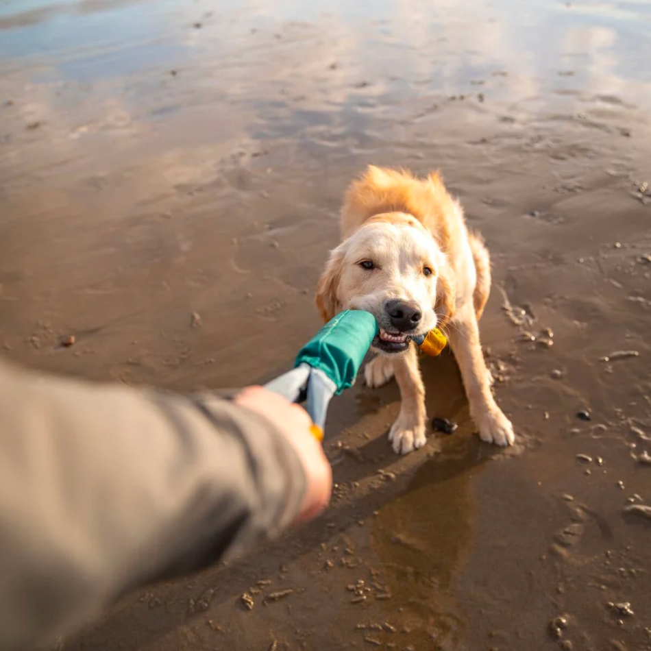 Pacific Loop Toy Aurora Teal Ruffwear