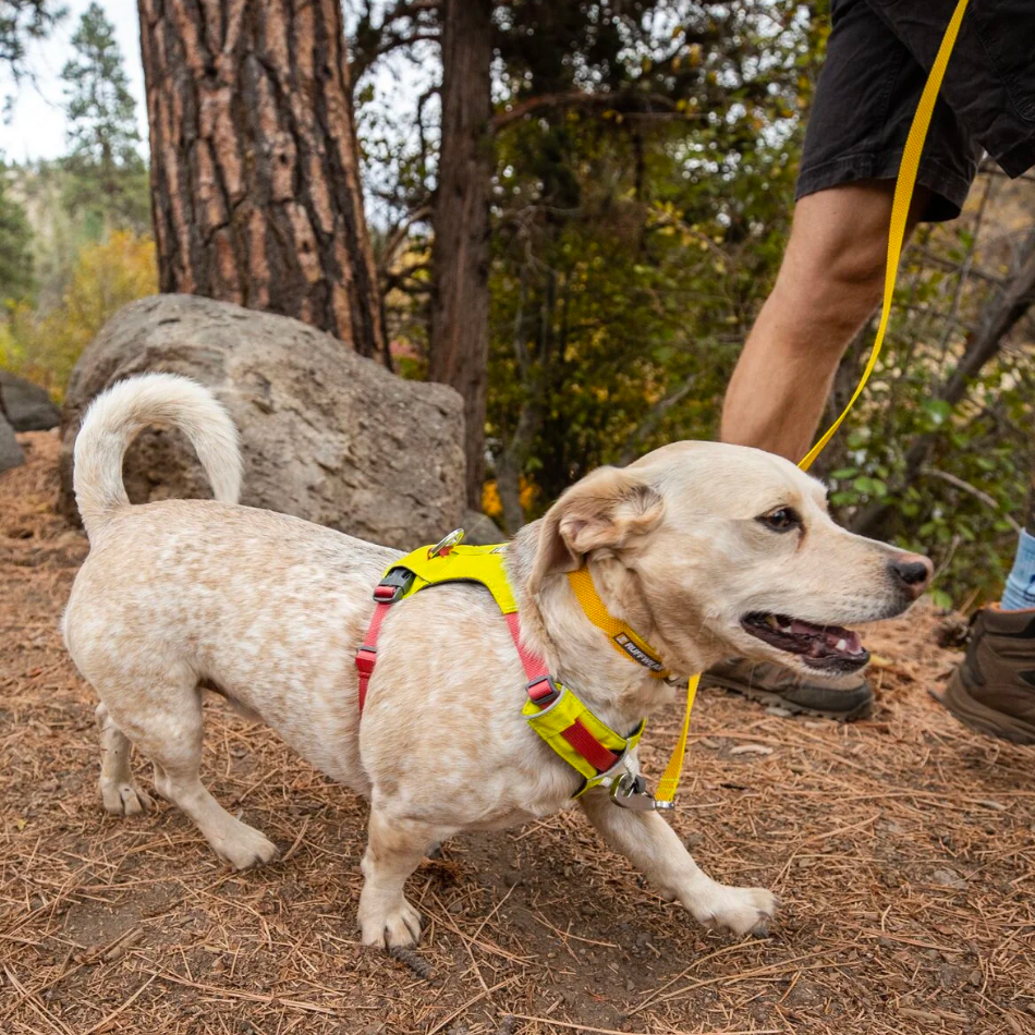 Pechera para mascota Ruffwear