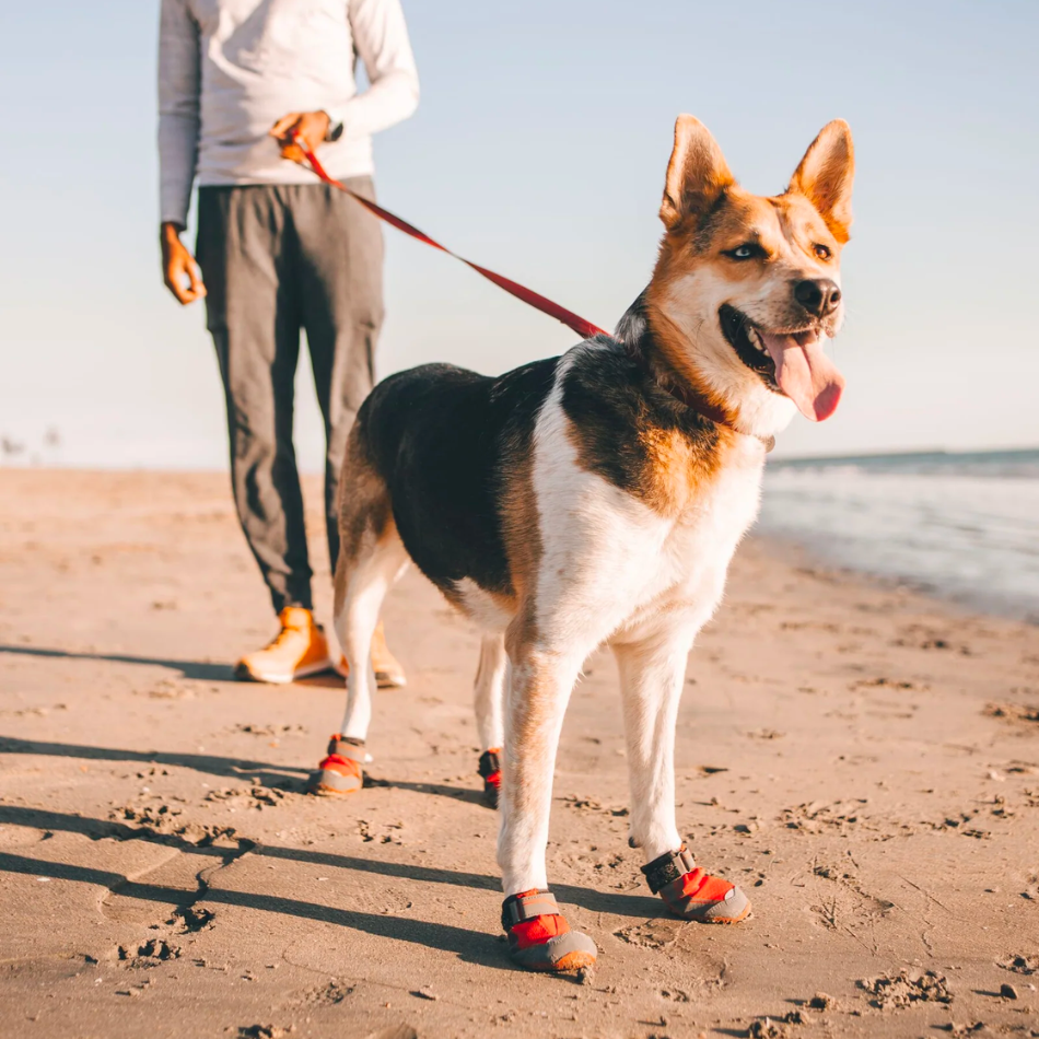 Botas para Perros Grip Trex