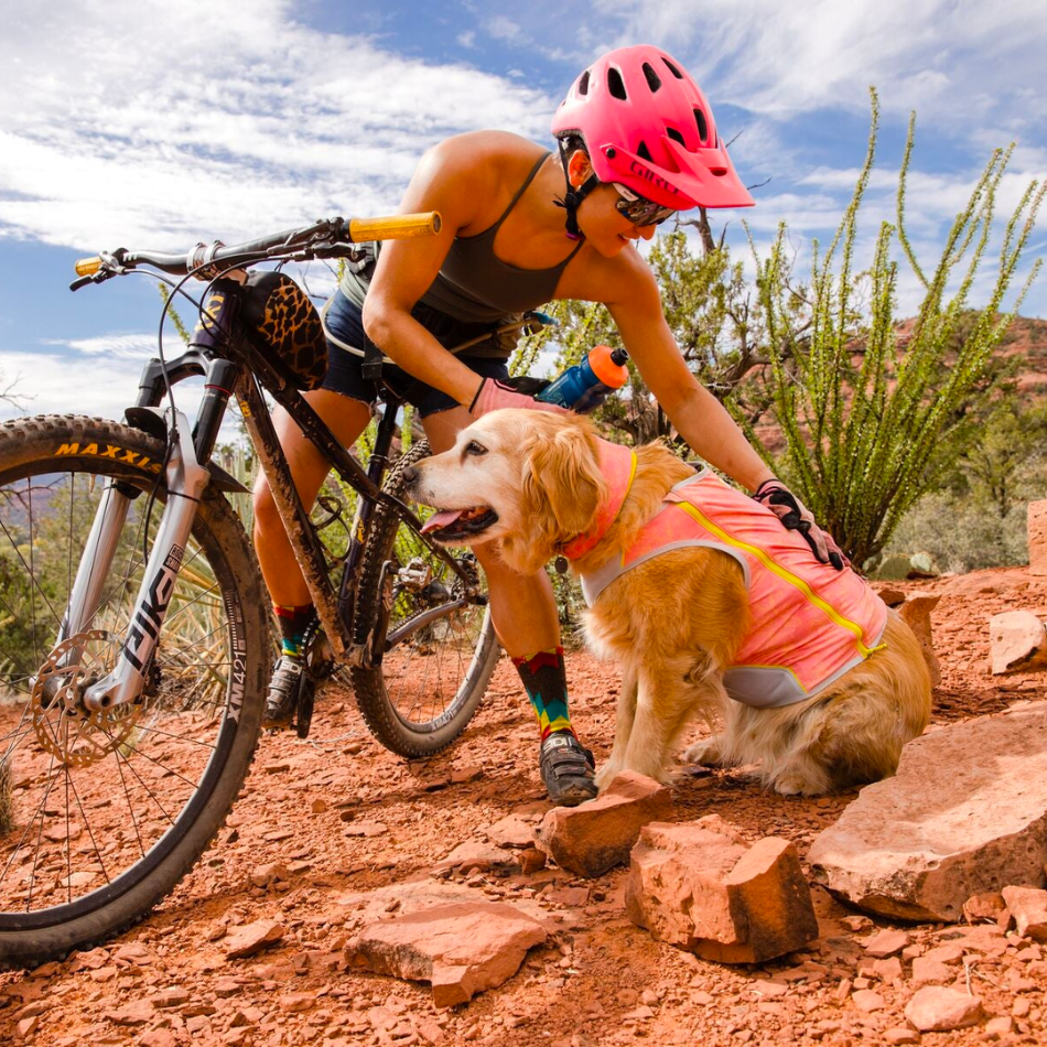 Banda de Enfriamiento para perro