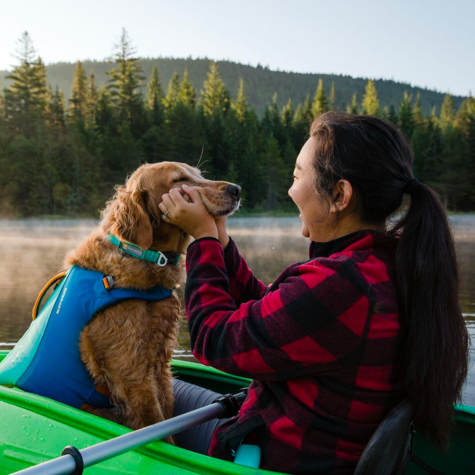 Collar Front Range Aurora Teal