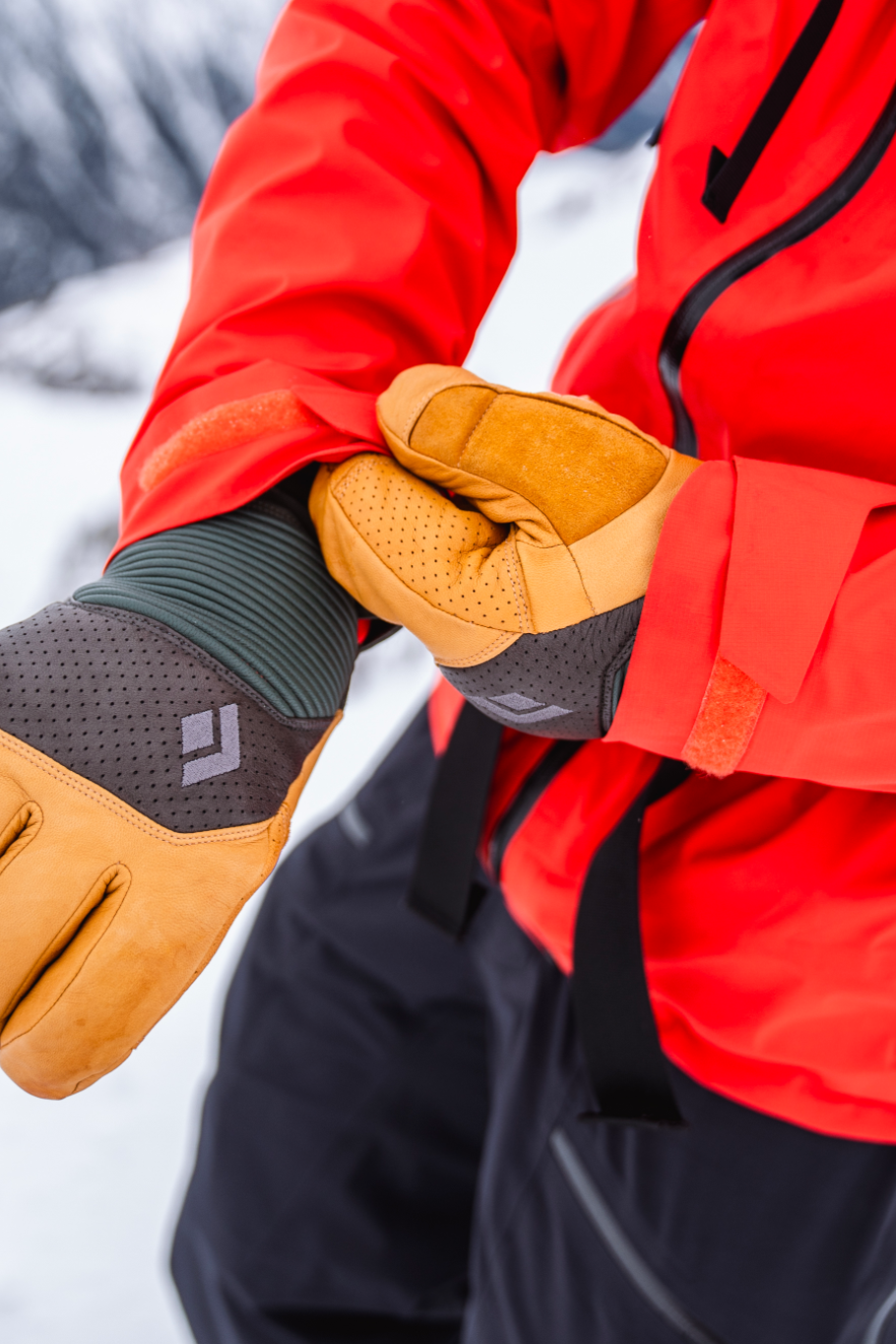 BASTONES PARA TREKKING