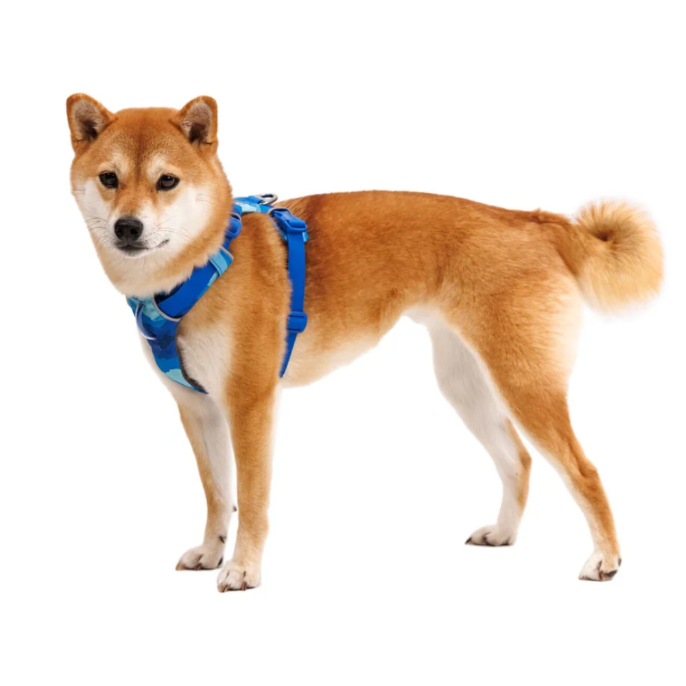 Arnes para perro Ruffwear