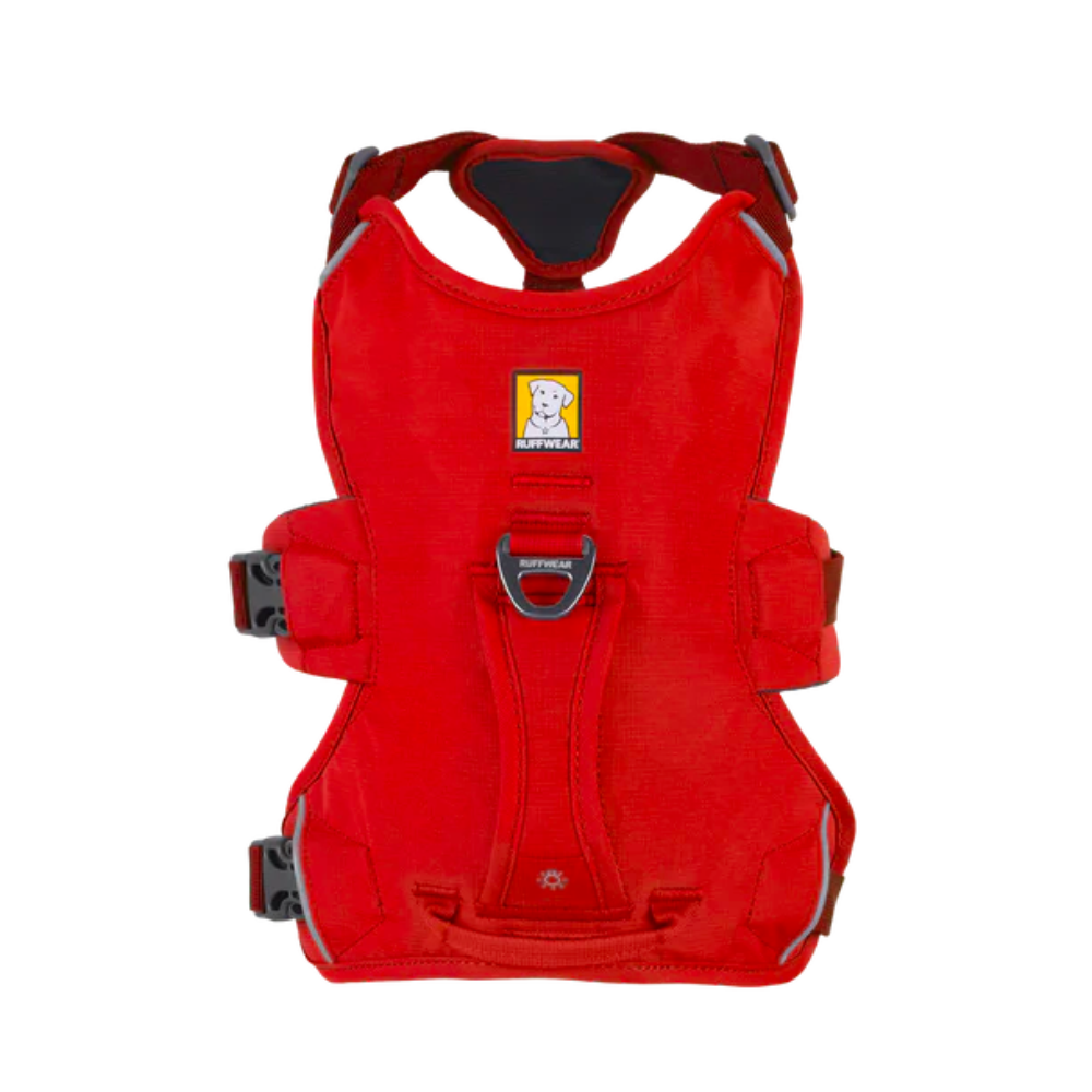 Arnes Webmaster Ruffwear México