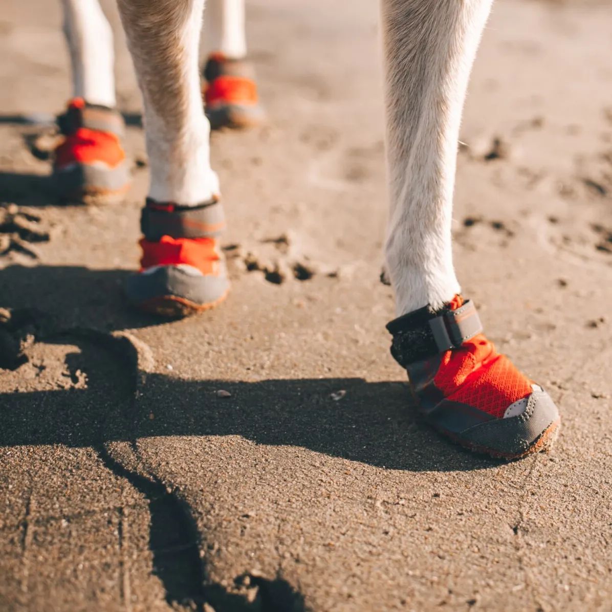 Botas Ruffwear para perros senderismo méxico