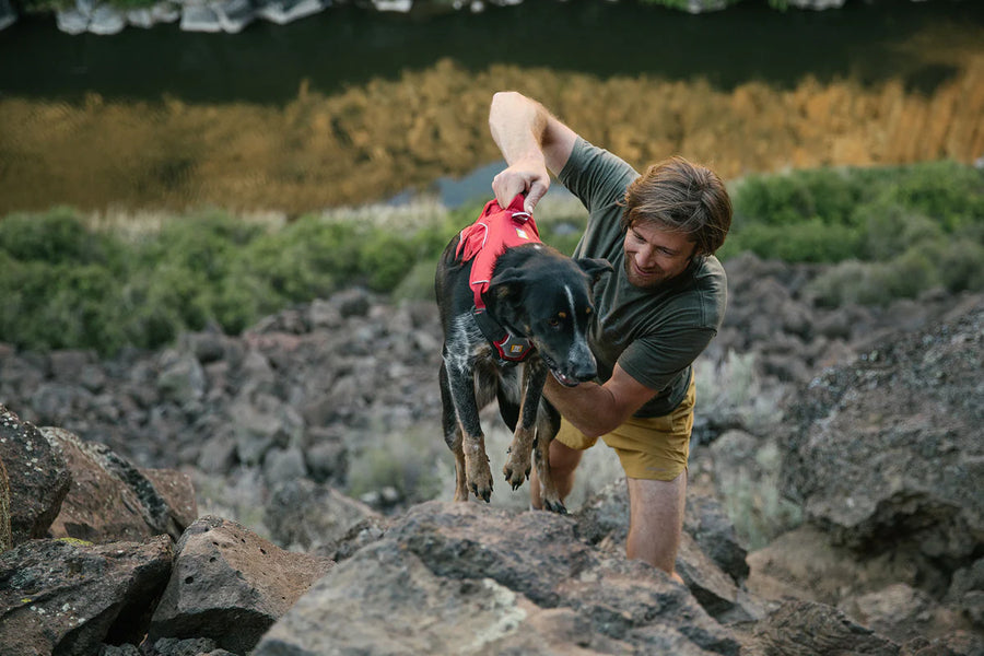 Como elegir un arnes para mascota Ruffwear México