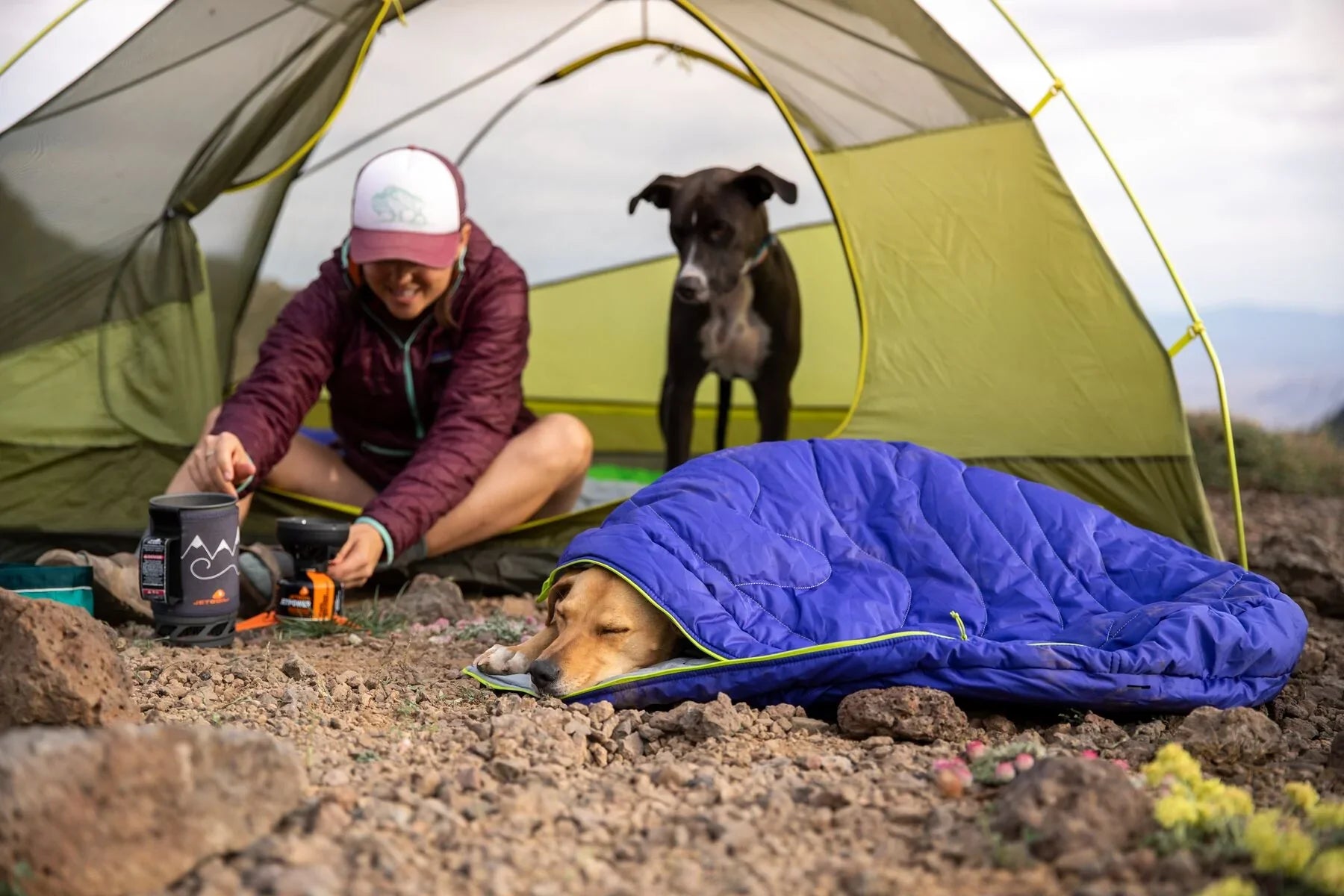 Productos Ruffwear para mascotas aventureras 
