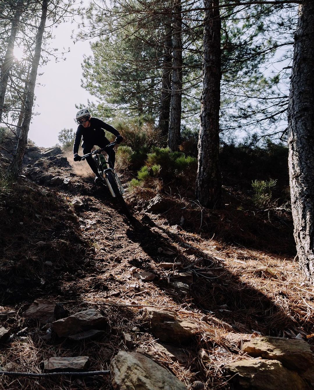Tienda Oficial Fox Store México