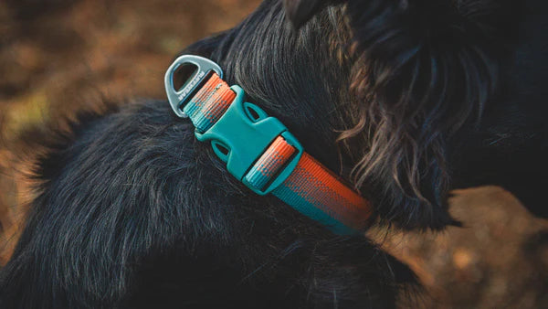 COLLARES RUFFWEAR