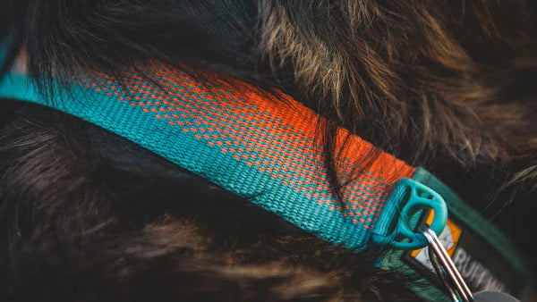 RUFFWEAR COYOACAN