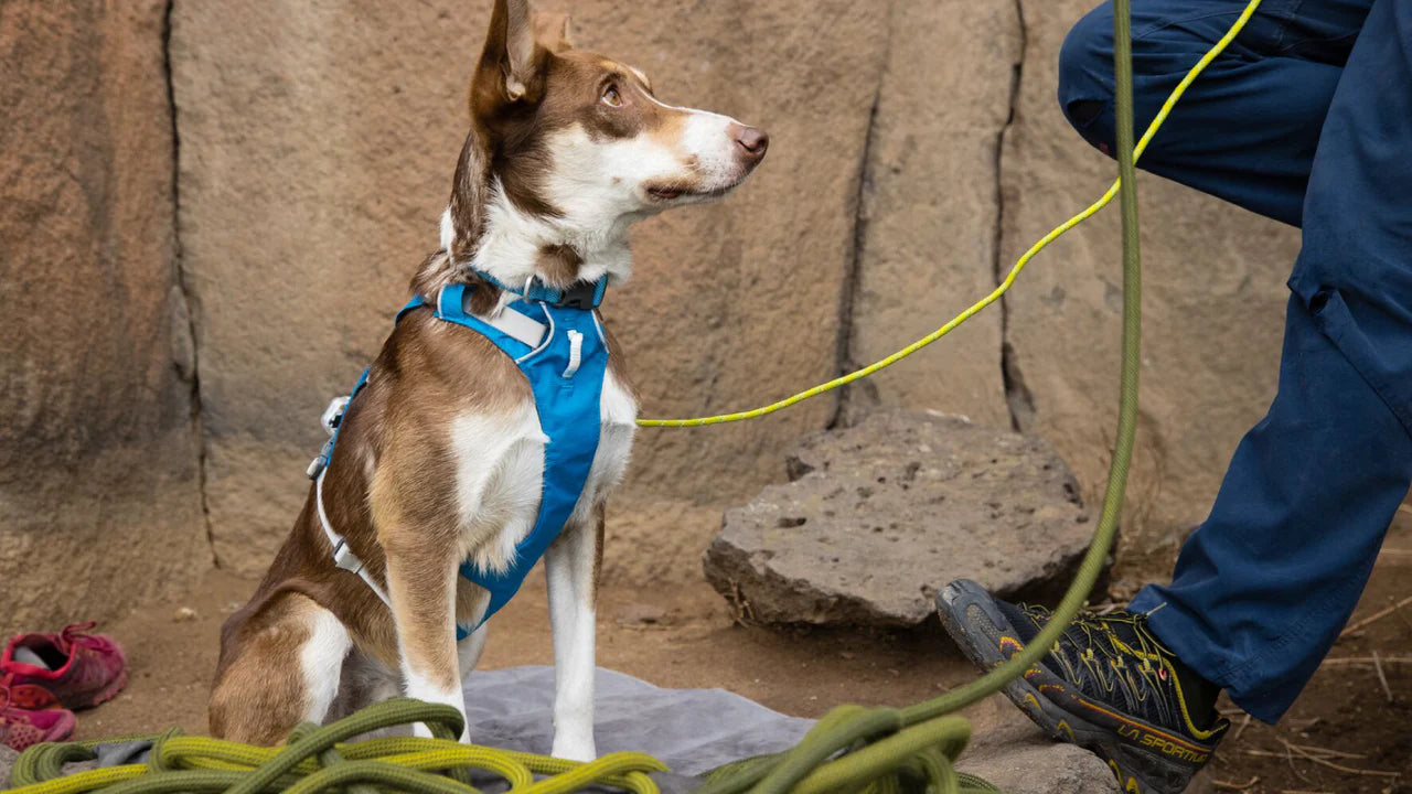 TIENDA RUFFWEAR MÉXICO