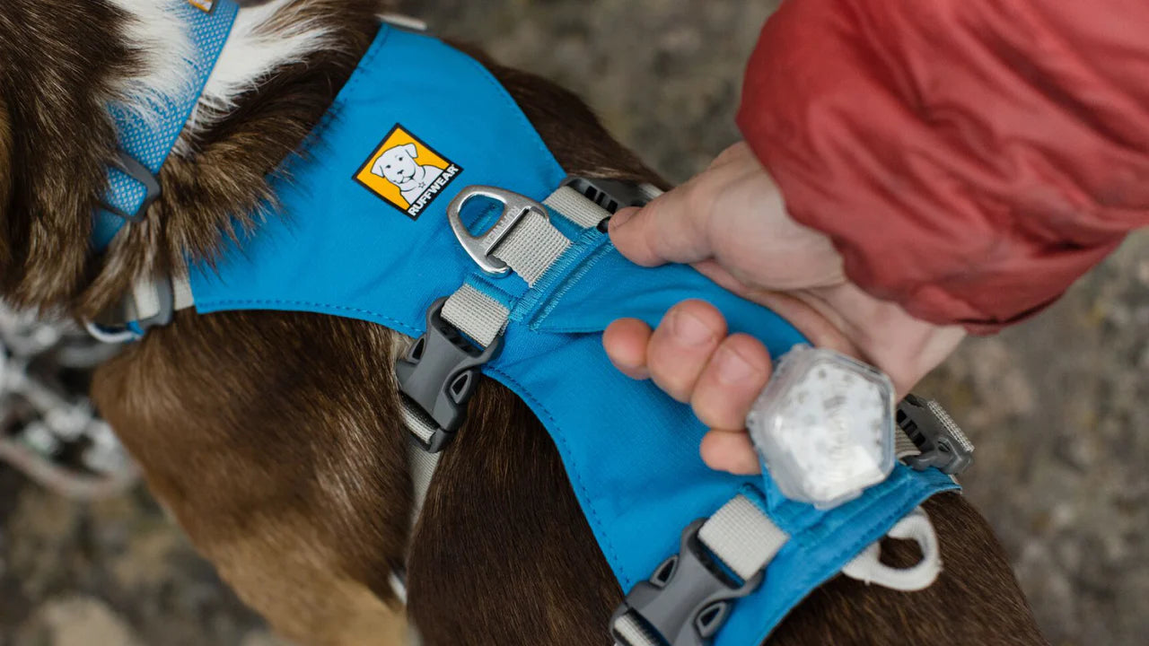 ARNES PARA PERRO RUFFWEAR