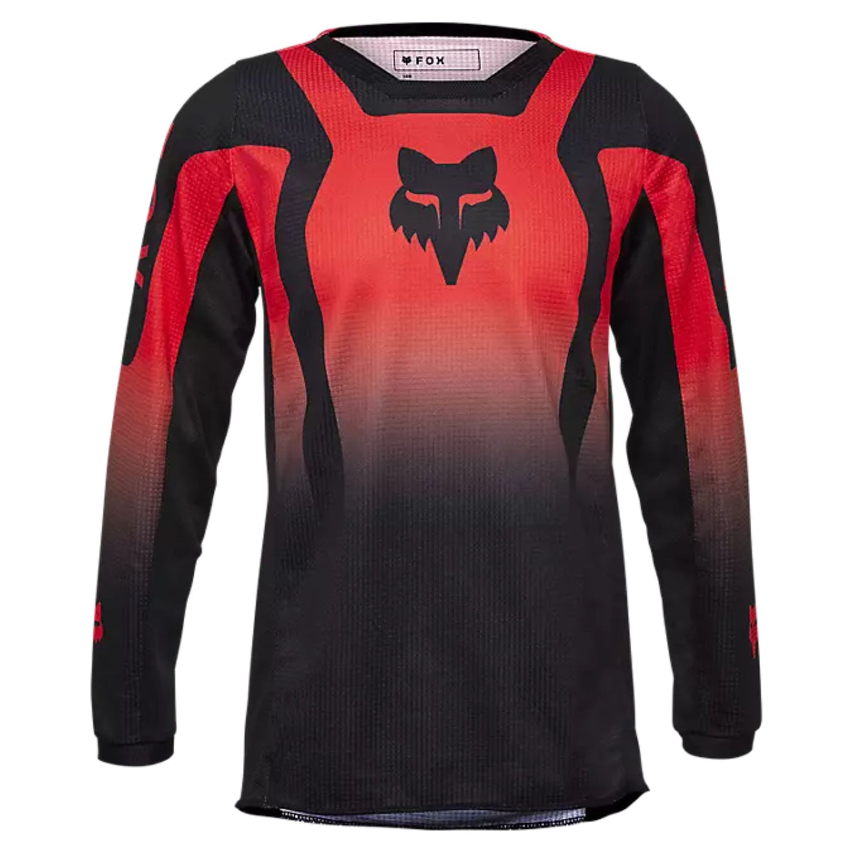 Jersey Fox Juvenil