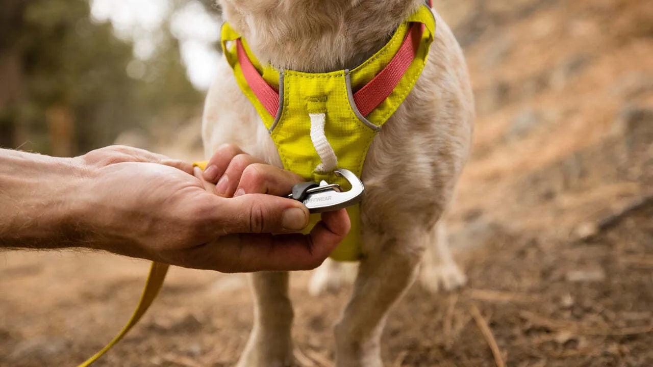 ARNES PARA PERRO RUFFWEAR