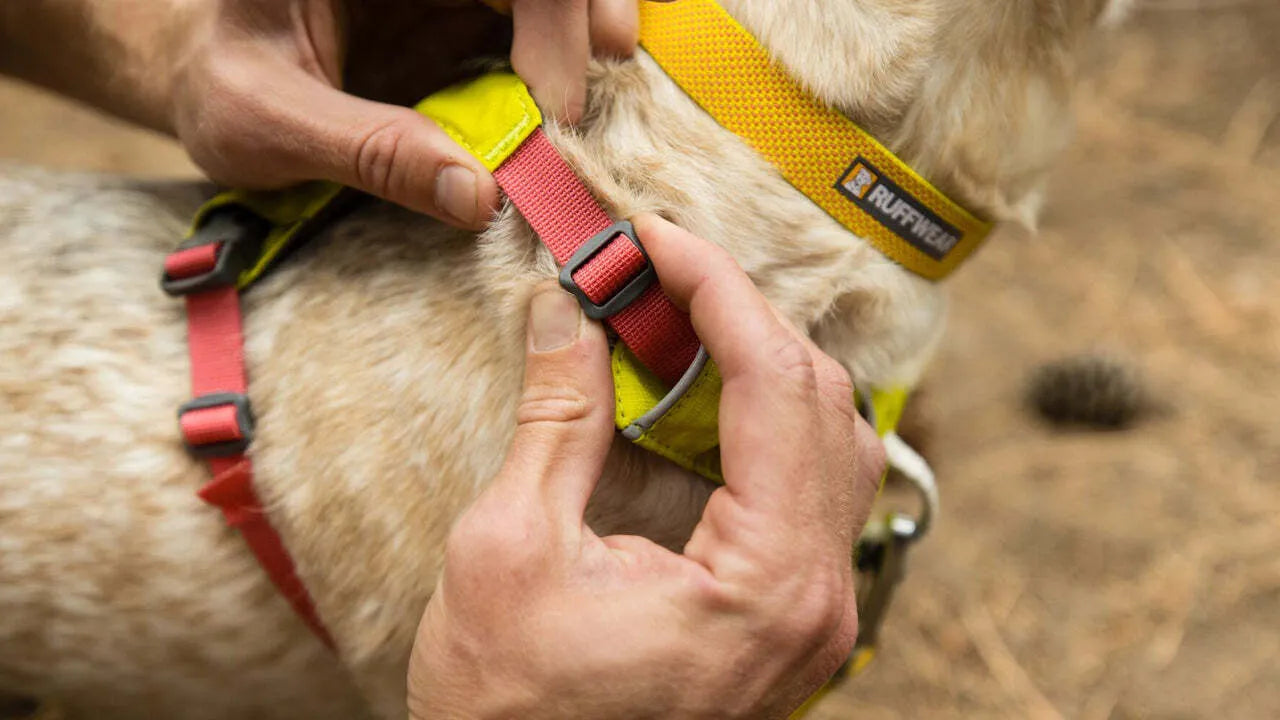 ARNES RUFFWEAR