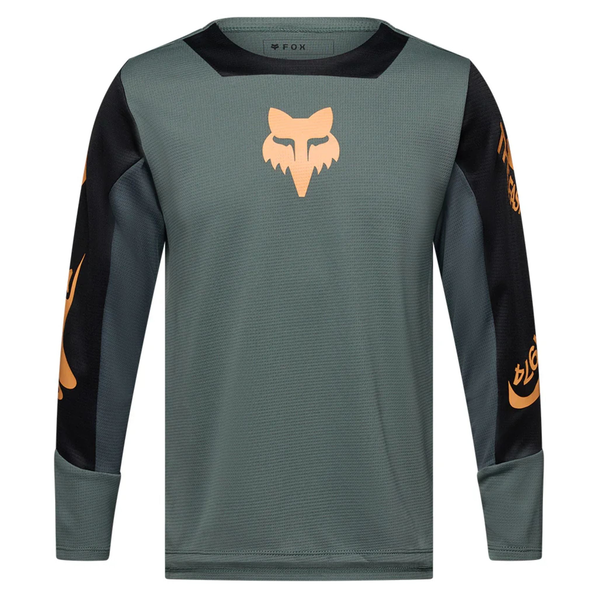 Jersey Fox Niños
