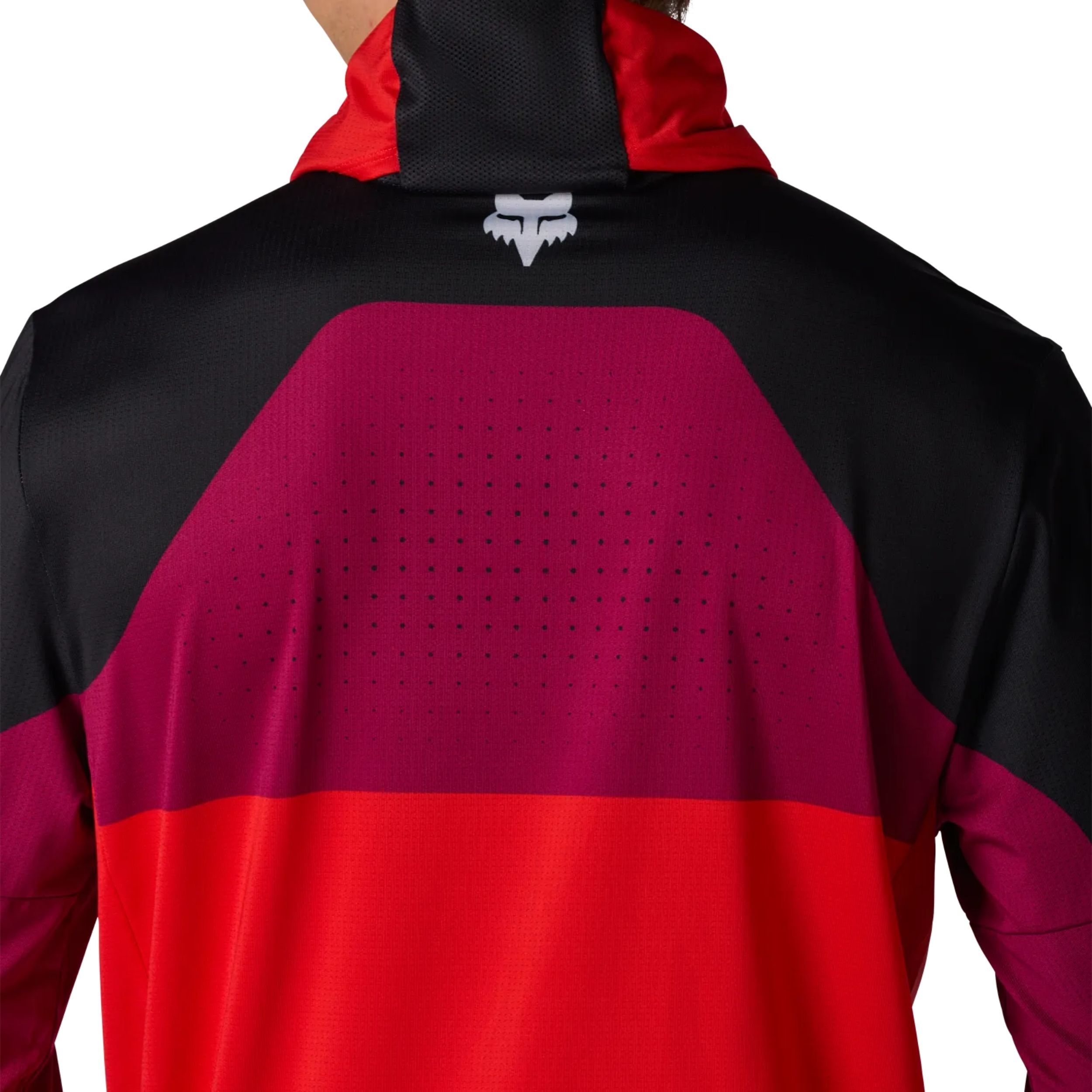 Jersey Fox Rzr
