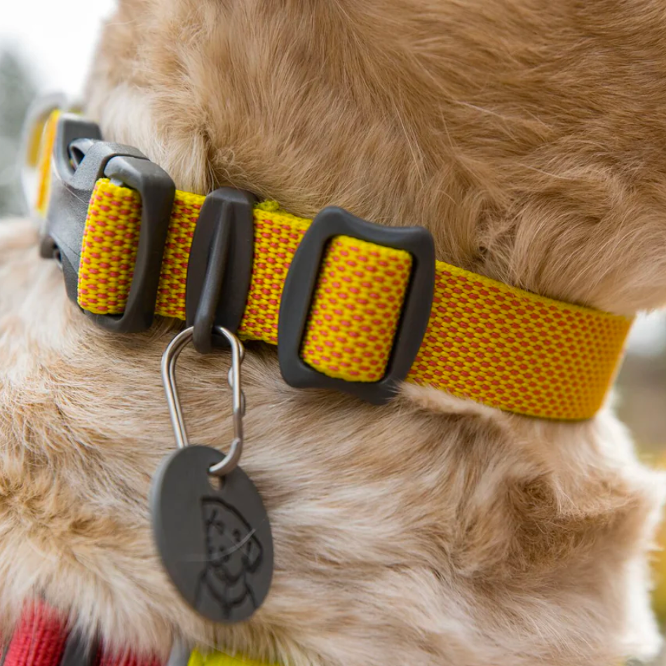 Collar Hi & Ligh Ruffwear