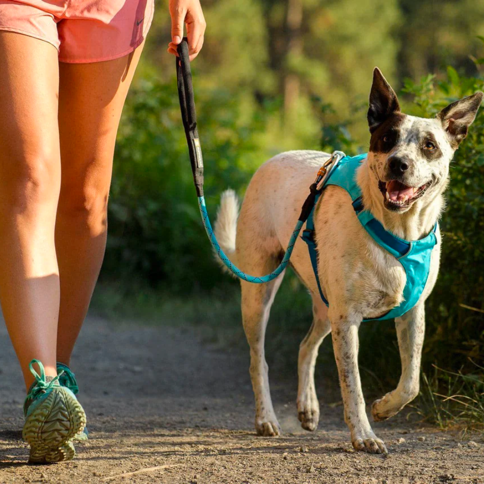Pechera Para perro ruffwear