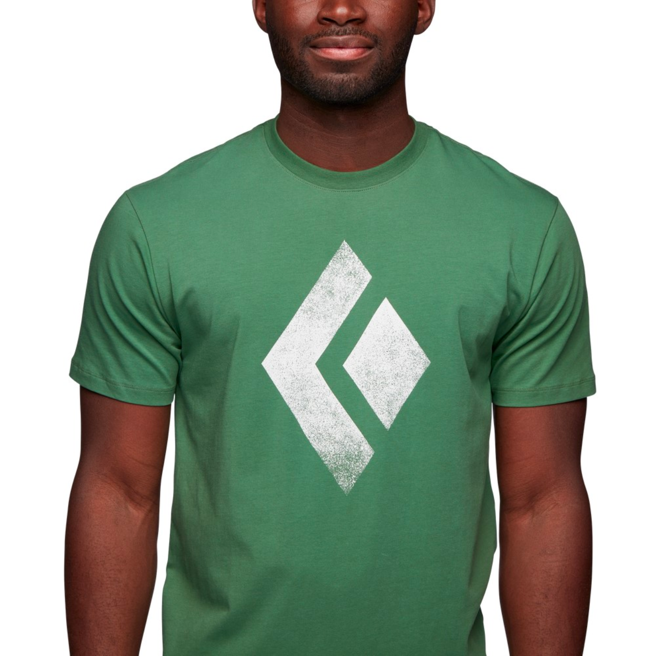 Playera Chalked Up Arbor Green - Black Diamond