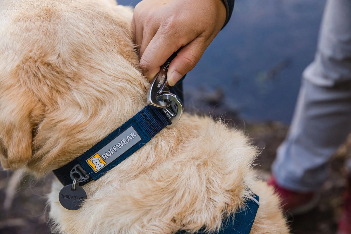 Collar para perro ruffwear méxico tienda oficial CDMX
