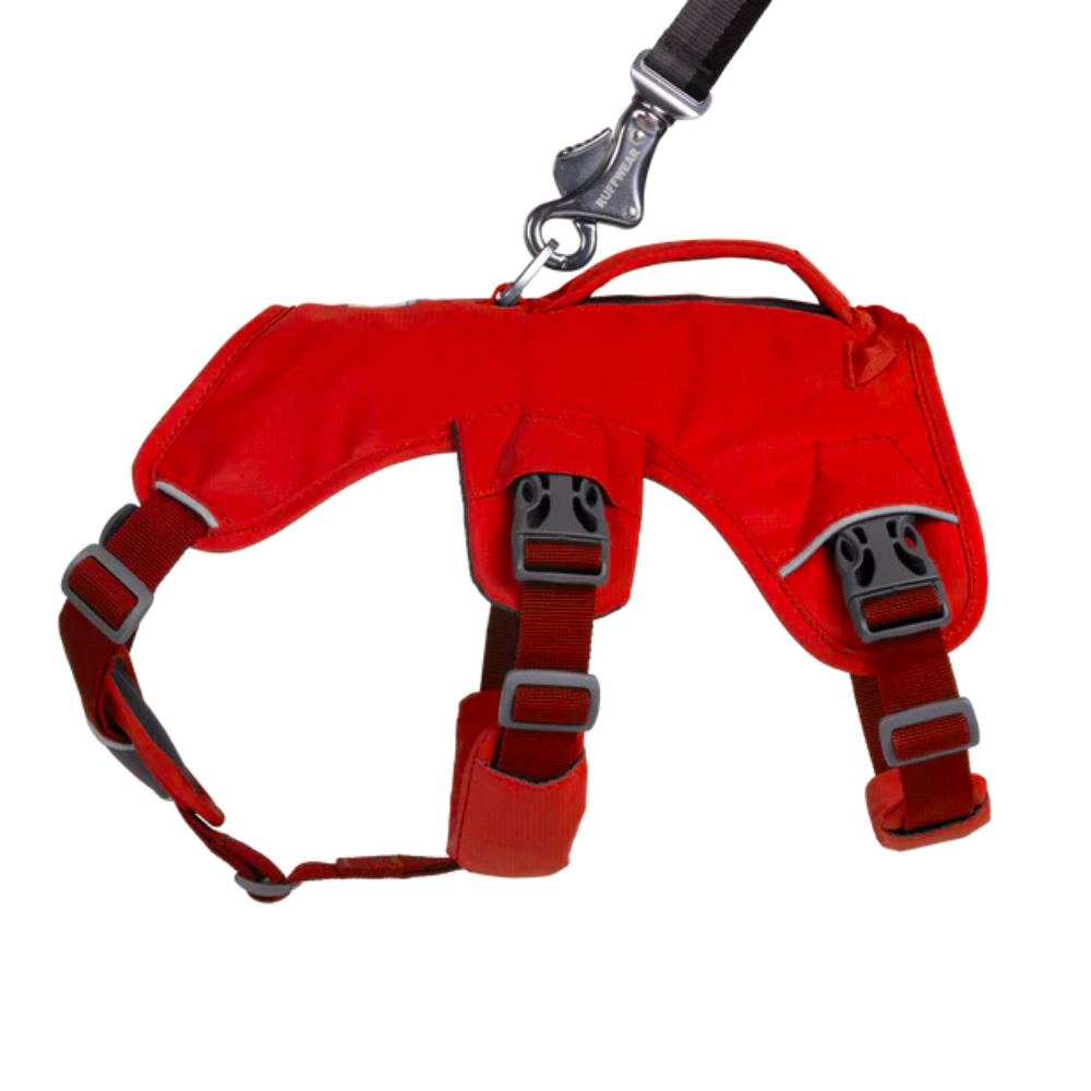 Arnes Webmaster Ruffwear México
