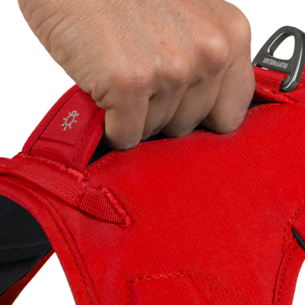 Arnes Webmaster Ruffwear México